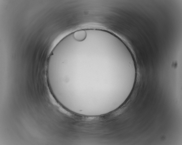 X0000112771390200908201340