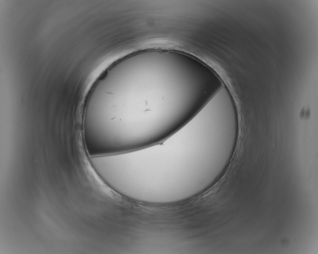 X0000112771392200908201340
