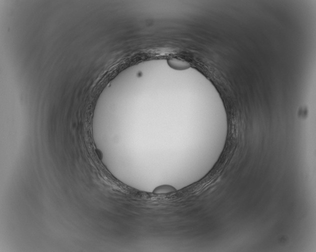 X0000112771393200908201339