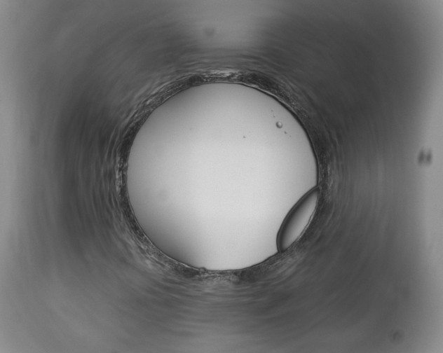 X0000112771394200908201339