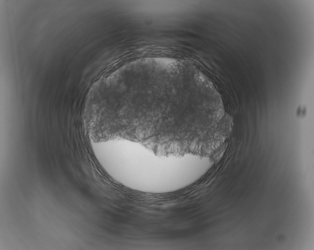 X0000112771395200908201339