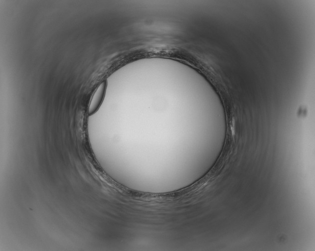 X0000112771396200908201339