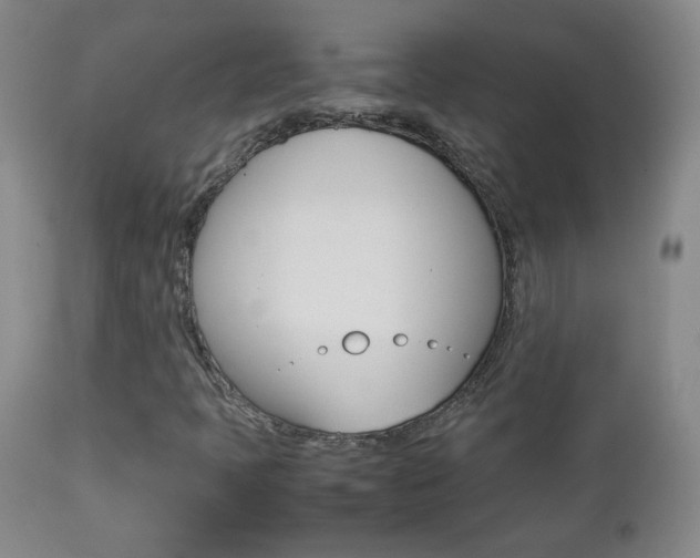X0000112771397200908201339