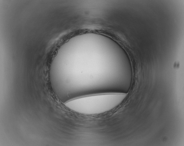 X0000112771398200908201339