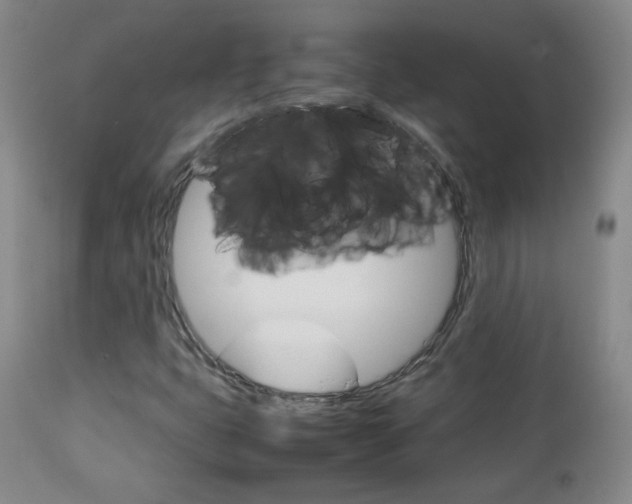 X0000112771399200908201339