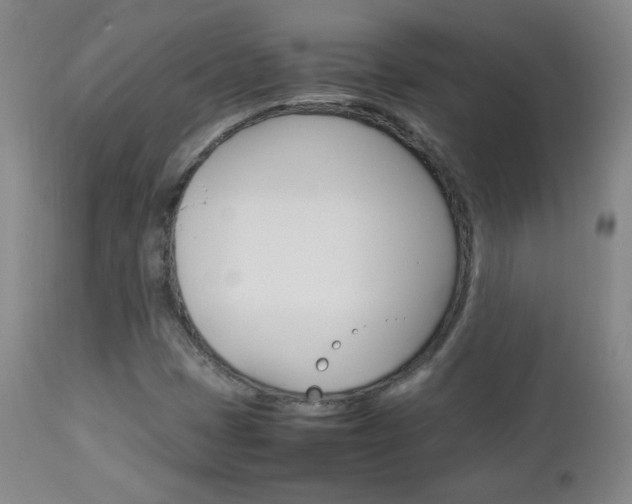 X0000112771401200908201339