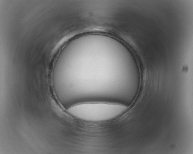 X0000112771404200908201339