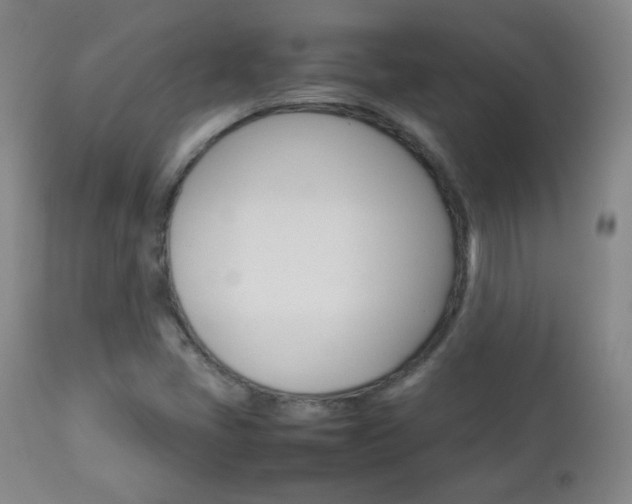 X0000112771405200908201339