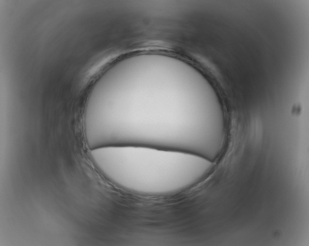X0000112771407200908201339