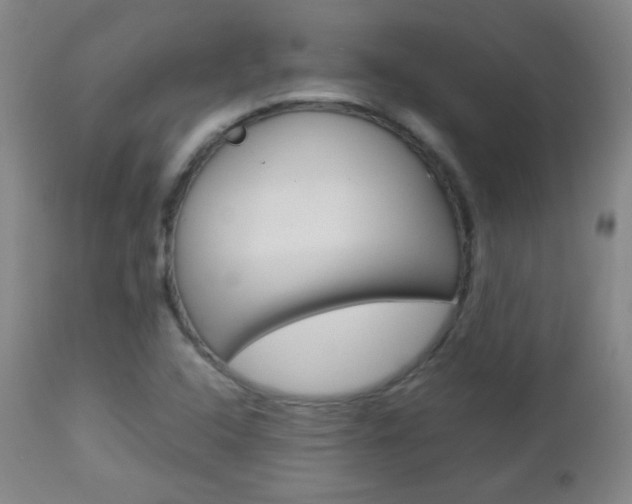 X0000112771408200908201339