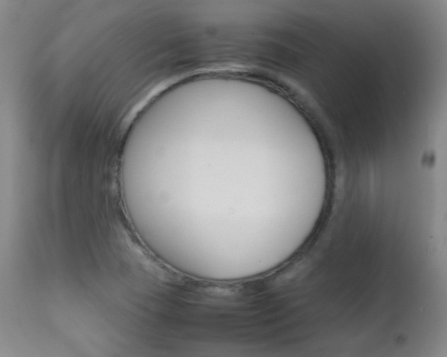 X0000112771409200908201339