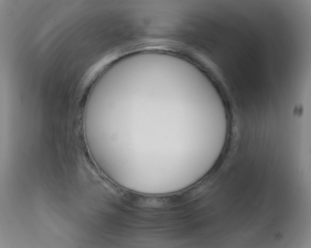X0000112771411200908201339