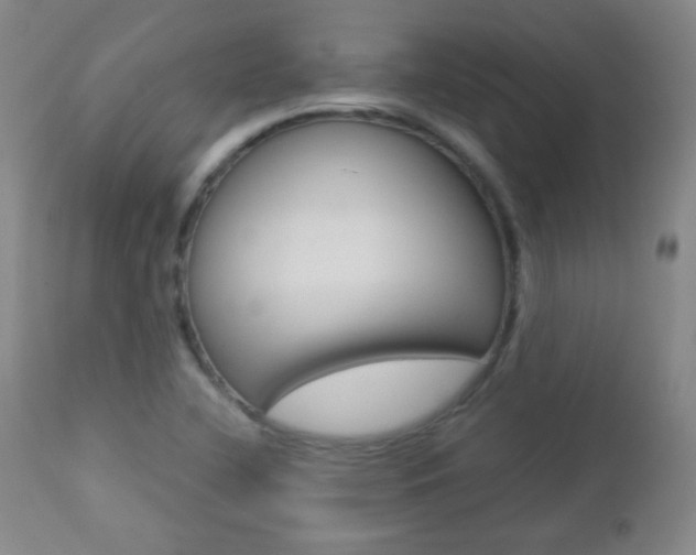 X0000112771412200908201339