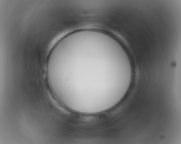 X0000112771413200908201339