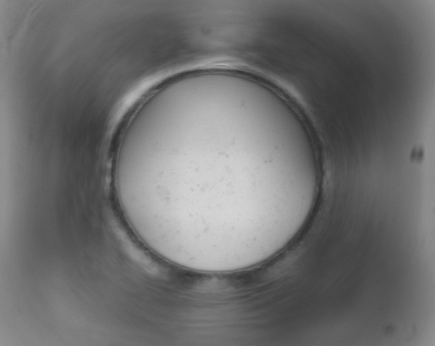 X0000112771414200908201339
