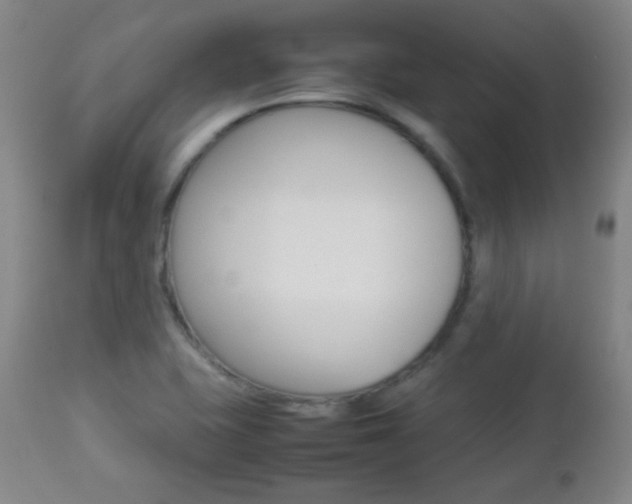X0000112771415200908201339