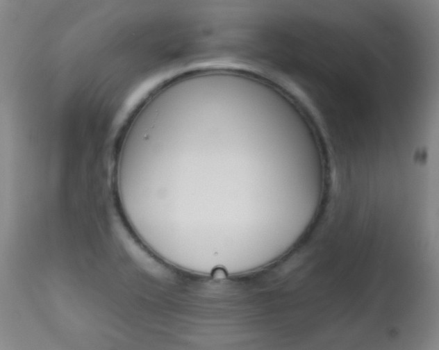 X0000112771416200908201339