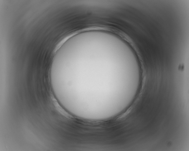 X0000112771417200908201339