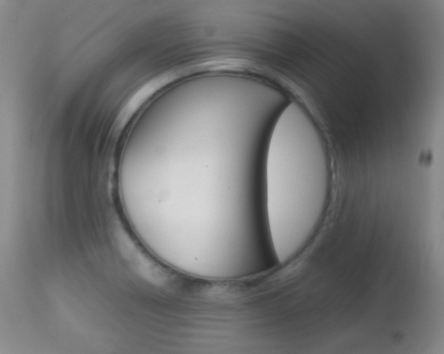 X0000112771418200908201339