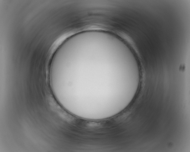 X0000112771419200908201339