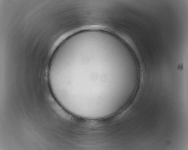 X0000112771420200908201339