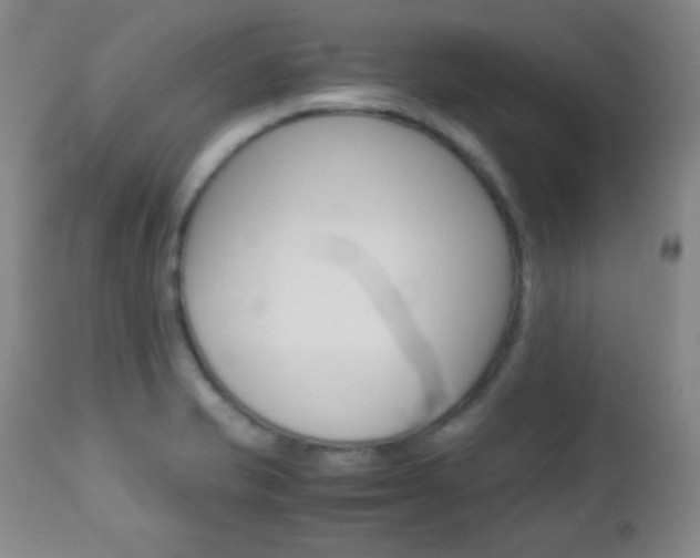 X0000112771421200908201339