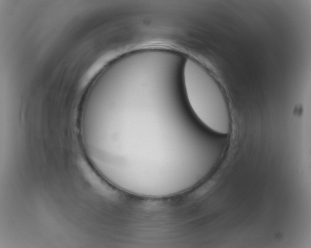 X0000112771422200908201339
