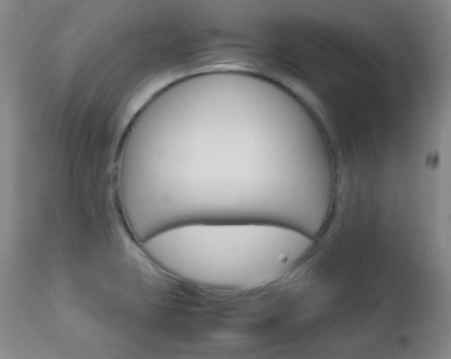 X0000112771423200908201339