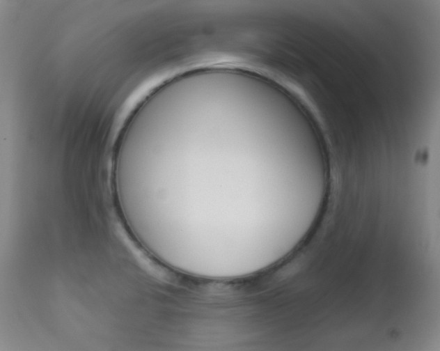 X0000112771424200908201340