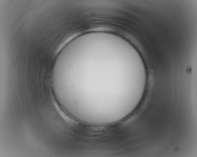 X0000112771425200908201340
