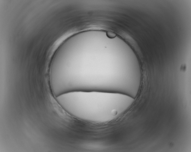 X0000112771427200908201340