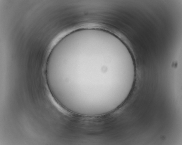 X0000112771429200908201340