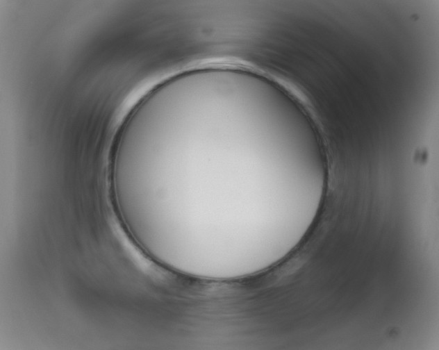 X0000112771430200908201340