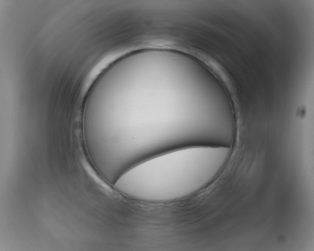 X0000112771432200908201340