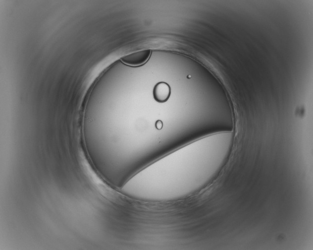 X0000112771434200908201340