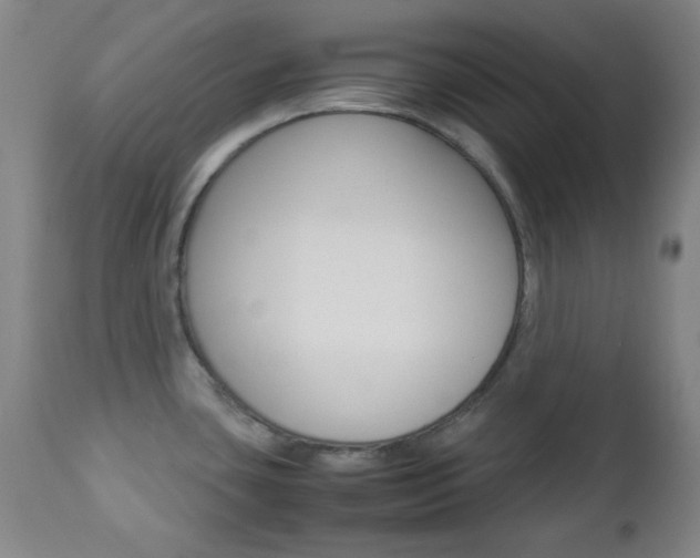 X0000112771435200908201340