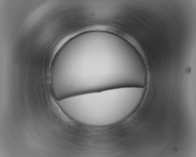 X0000112771436200908201340