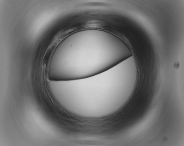 X0000112771438200908201340