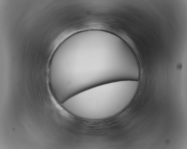 X0000112771439200908201340