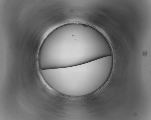 X0000112771440200908201340