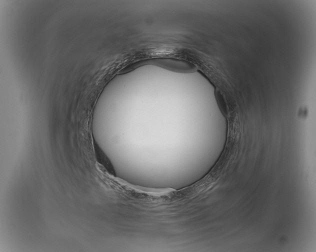 X0000112771441200908201339