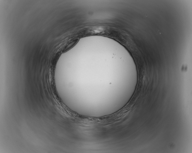 X0000112771442200908201339
