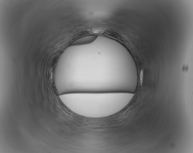 X0000112771443200908201339