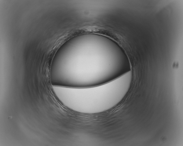 X0000112771444200908201339