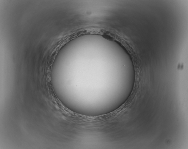 X0000112771445200908201339