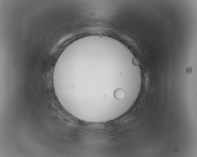 X0000112771446200908201339