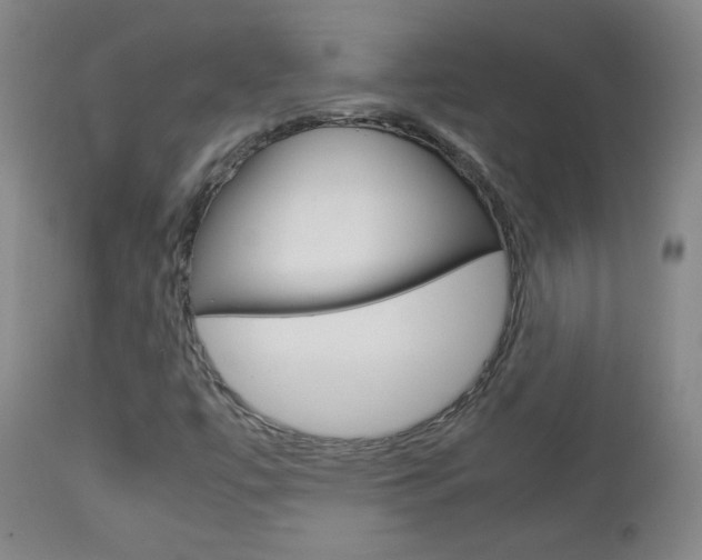 X0000112771447200908201339