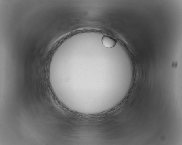X0000112771448200908201339