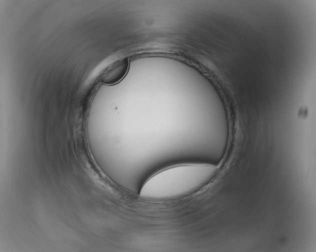 X0000112771450200908201339