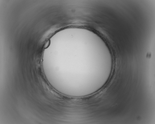 X0000112771451200908201339